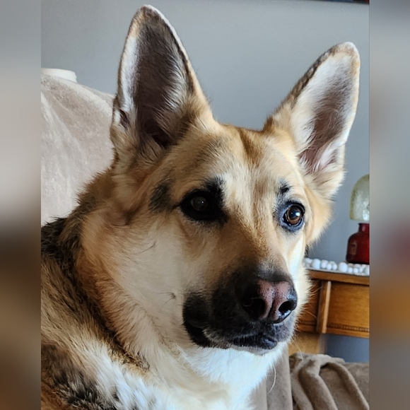 SHOWING NWT and NWOT Clothes. - Picture 9 of 13